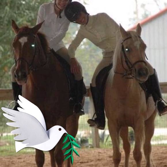 Meet your Posher, Holly - Picture 1 of 1